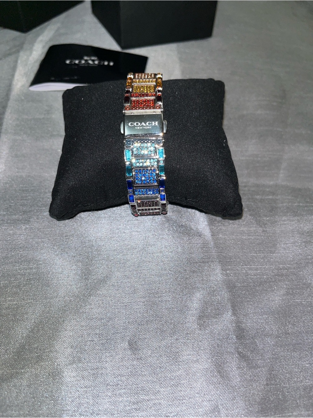Cary Rainbow Coach Watch - Picture 9 of 14